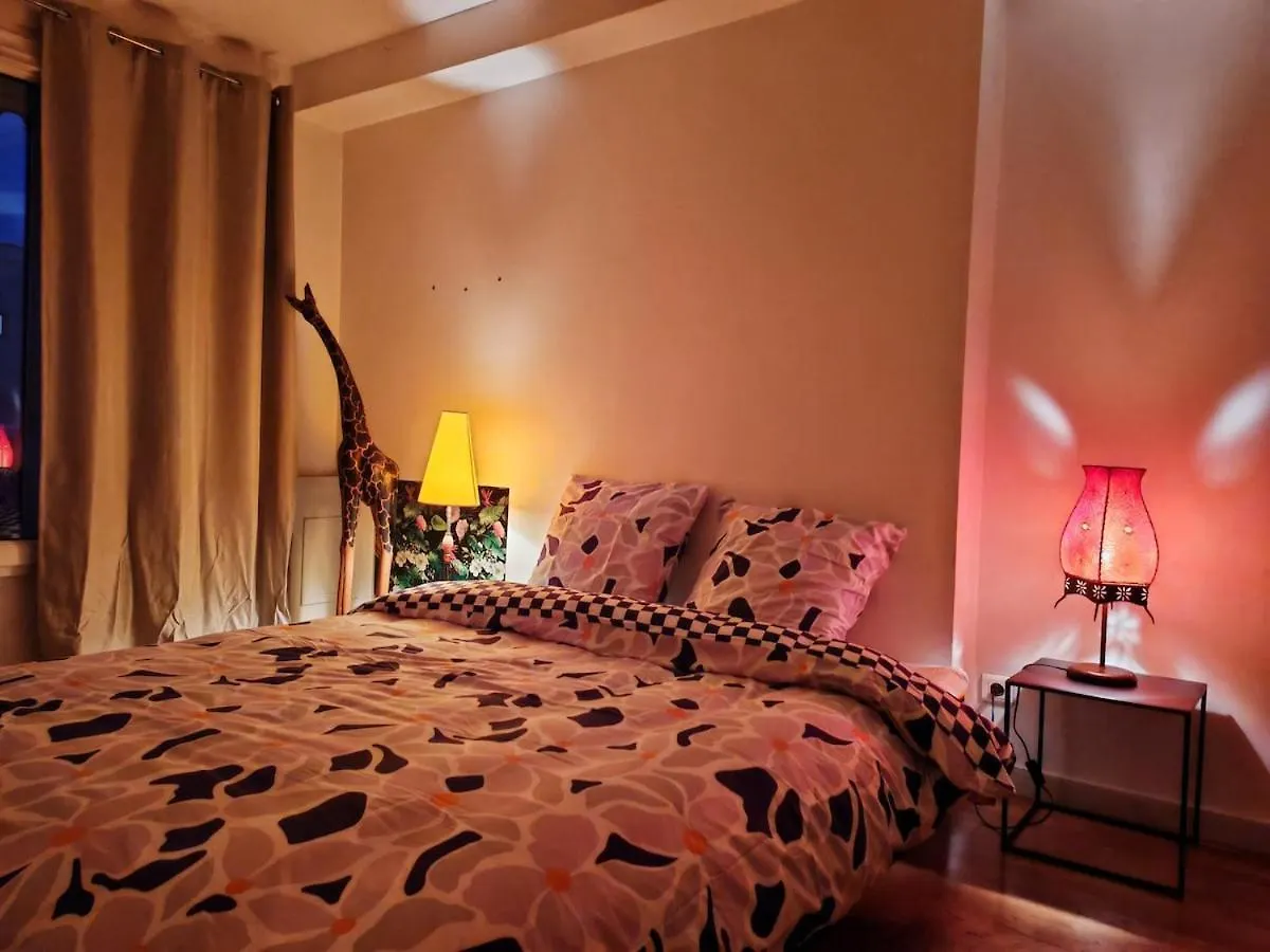 Grand Loft Bourgeois, Coeur Vieux Lyon Appartement